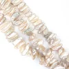 Biwa tooth pearls