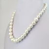 Shell Pearl Necklace